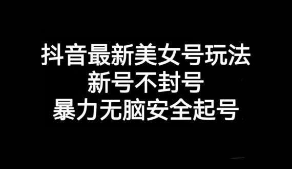 抖音最新美女号玩法，新号不封号，暴力无脑安全起号【揭秘】-生财社