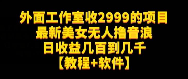 外面工作室收2999的项目最新美女无人撸音浪日收益几百到几千【教程+软件】（仅揭秘）-生财社