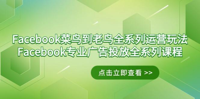 Facebook-菜鸟到老鸟全系列运营玩法+Facebook-专业广告投放全系列课程-生财社