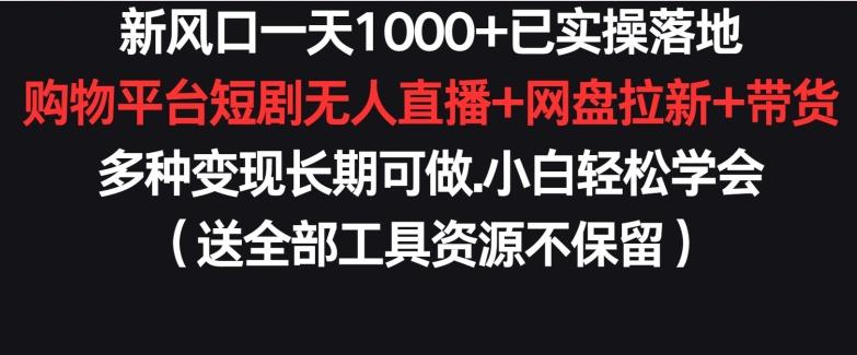 新风口一天1000+已实操落地购物平台短剧无人直播+网盘拉新+带货多种变现长期可做【揭秘】-生财社