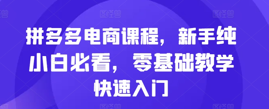 拼多多电商课程，新手纯小白必看，零基础教学快速入门-生财社