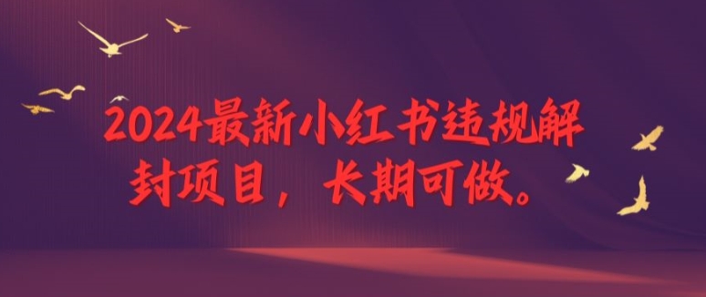 2024最新小红书违规解封项目，长期可做，一个可以做到退休的项目【揭秘】-生财社