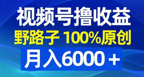 视频号野路子撸收益，100%原创，条条爆款，月入6000＋【揭秘】-生财社