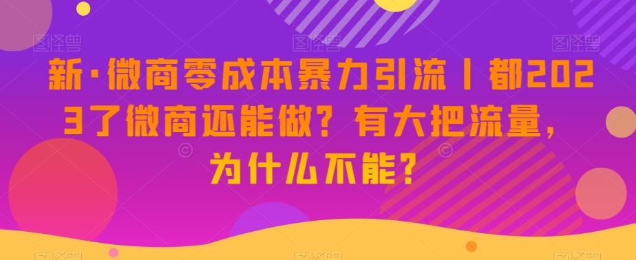 新·微商零成本暴力引流丨都2023了微商还能做？有大把流量，为什么不能？-生财社