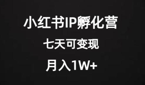 价值2000+的小红书IP孵化营项目，超级大蓝海，七天即可开始变现，稳定月入1W+-生财社