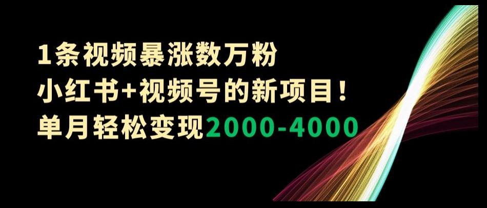 1条视频暴涨数万粉–小红书+视频号的新项目！单月轻松变现2000-4000【揭秘】-生财社