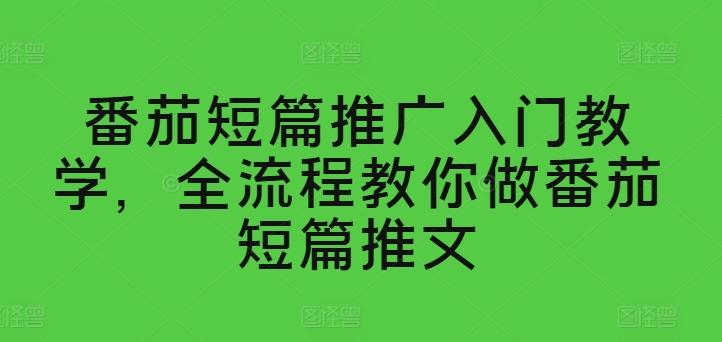番茄短篇推广入门教学，全流程教你做番茄短篇推文-生财社