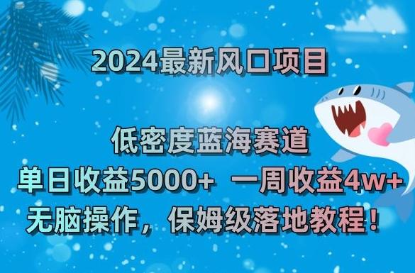 2024最新风口项目，低密度蓝海赛道，单日收益5000+，一周收益4w+！【揭秘】-生财社