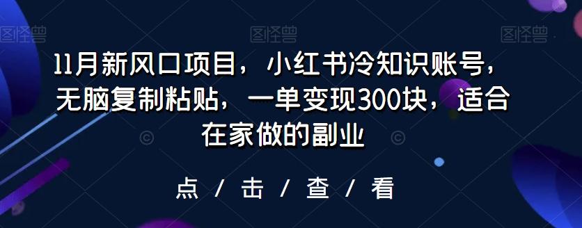 11月新风口项目，小红书冷知识账号，无脑复制粘贴，一单变现300块，适合在家做的副业-生财社
