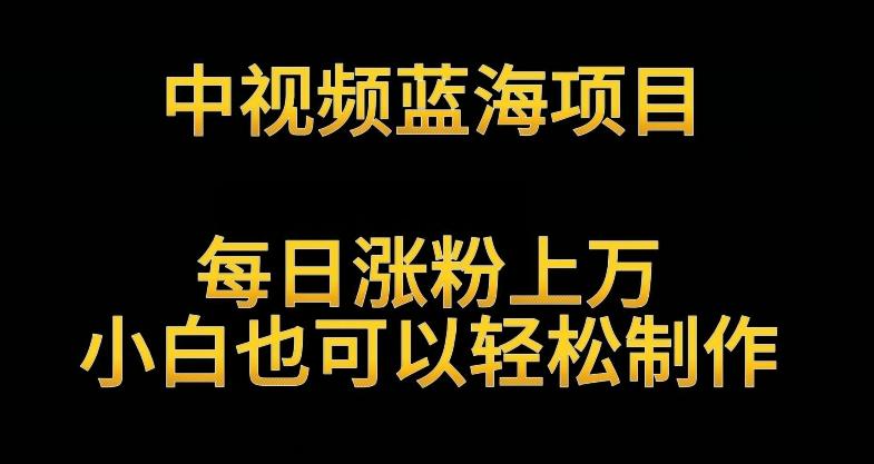 中视频蓝海项目，解读英雄人物生平，每日涨粉上万，小白也可以轻松制作，月入过万不是梦【揭秘】-生财社