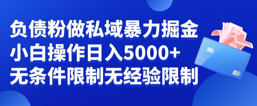 负债粉私域暴力掘金，小白操作入5000，无经验限制，无条件限制【揭秘】-生财社