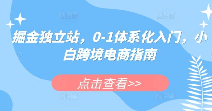 掘金独立站，0-1体系化入门，小白跨境电商指南-生财社