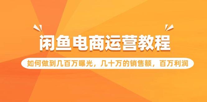 (9560期)闲鱼电商运营教程：如何做到几百万曝光，几十万的销售额，百万利润-生财社