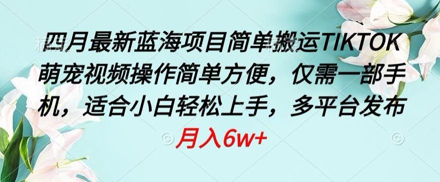 四月最新蓝海项目，简单搬运TIKTOK萌宠视频，操作简单方便，仅需一部手机【揭秘】-生财社
