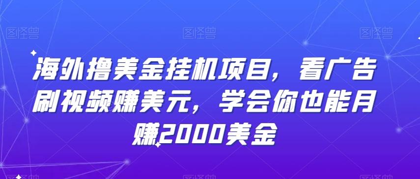 海外撸美金挂机项目，看广告刷视频赚美元，学会你也能月赚2000美金-生财社