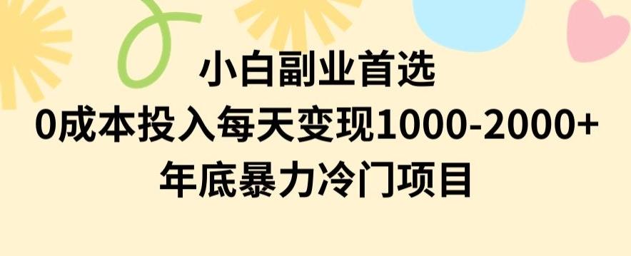 小白副业首选，0成本投入，每天变现1000-2000年底暴力冷门项目【揭秘】-生财社