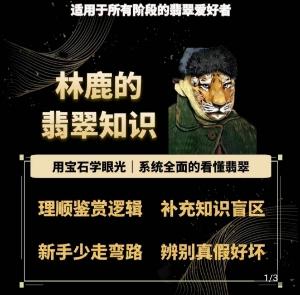 林鹿的翡翠知识，​用宝石眼光，系统全面的看懂翡翠-生财社