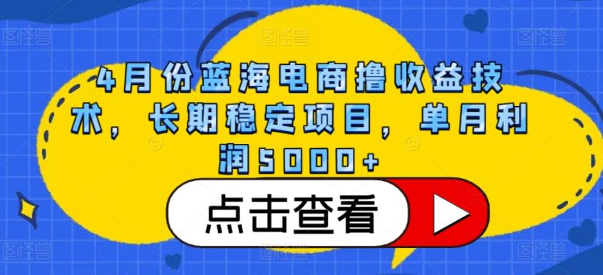 4月份蓝海电商撸收益技术，长期稳定项目，单月利润5000+【揭秘】-生财社