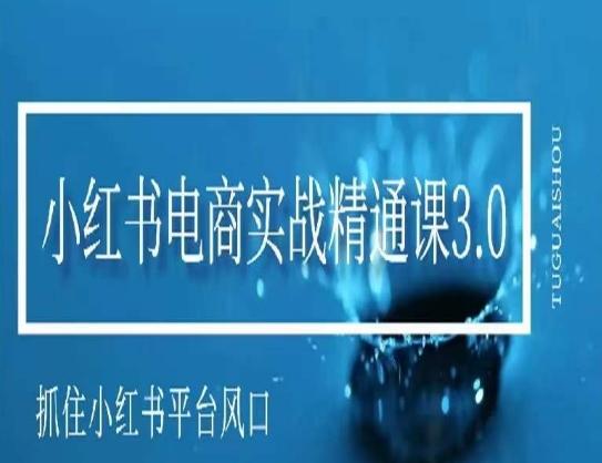 小红书电商实战精通课3.0，抓住小红书平台的风口，不错过有一个赚钱的机会-生财社