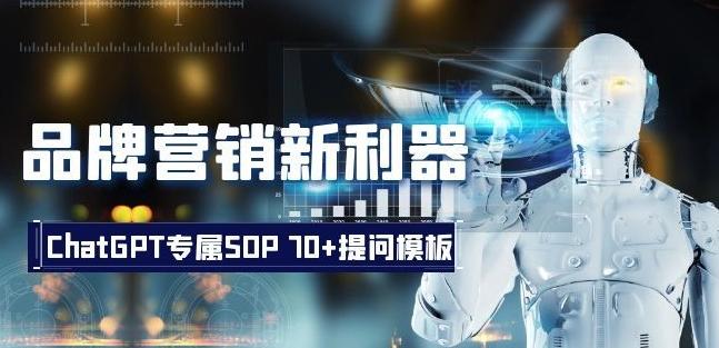 品牌营销新利器：ChatGPT专属SOP，70+提问模板【文档】-生财社