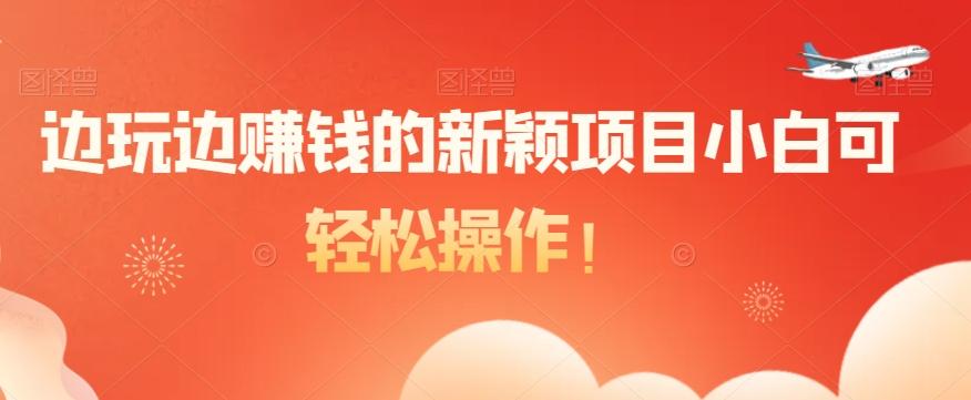 边玩边赚钱的新颖项目小白可轻松操作！-生财社
