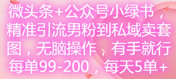 微头条+公众号小绿书，精准引流男粉到私域卖套图，无脑操作，有手就行，每单99-200，每天5单-生财社