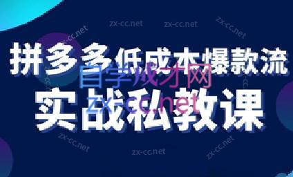 卡卡老师·拼多多低成本爆款流实战私教课-生财社