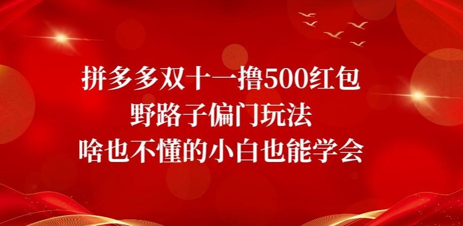 拼多多双十一撸500红包野路子偏门玩法，啥也不懂的小白也能学会【揭秘】-生财社